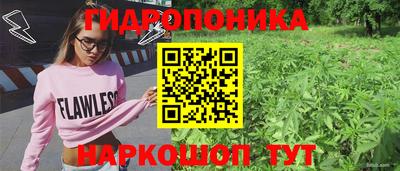 гидропоника Ликино-Дулёво