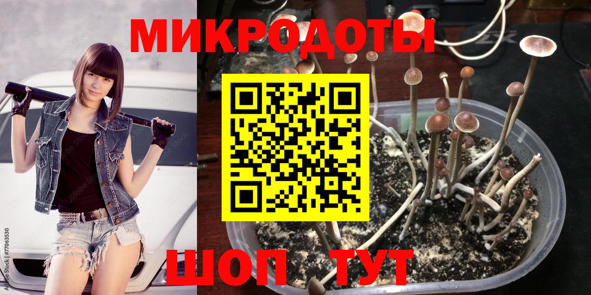 Галлюциногенные грибы прущие грибы  как найти закладки  Псилоцибиновые грибы Magic Shrooms  Зеленокумск  Вход с VPN 